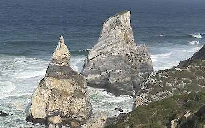 (submitted by Scott Lyon)