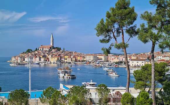 Croatian Vineyards and Villages of Undiscovered Istria