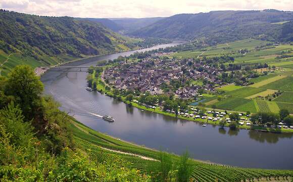 Mosel & Saar by Bike & Boat