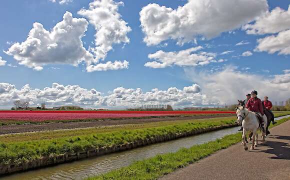 Holland by Bike and Boat, Southern Tour