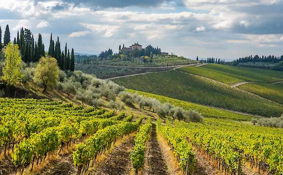 Tuscan Wine Classic: Pienza to Castellina via Siena