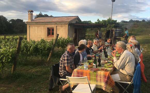 Wine & Cuisine in Girona's Emporda Plain