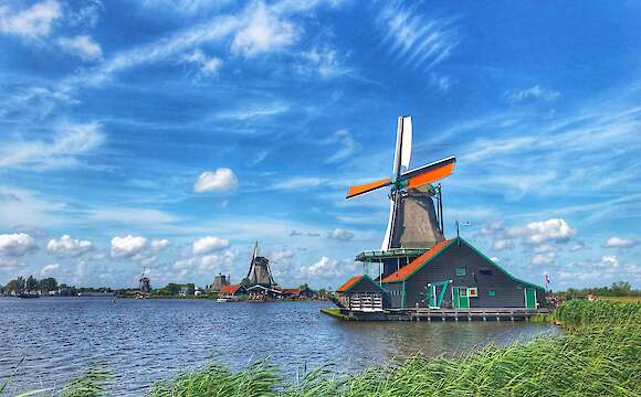 Tulip Tour - Bike & Boat Holland's Famous Tulip Fields