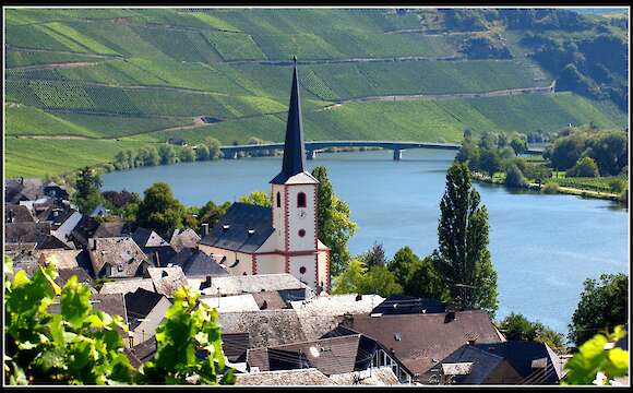 German Rivers, Wines & Cycle Paths by Bike and Boat