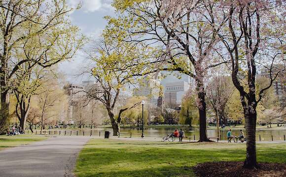 Highlights of Central Park New York Bike Tour