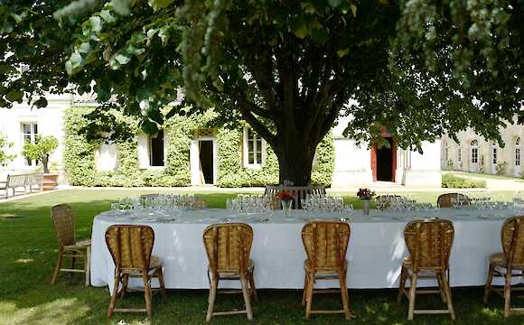 Champagne E-Bike Tour with Lunch & Wine Tasting