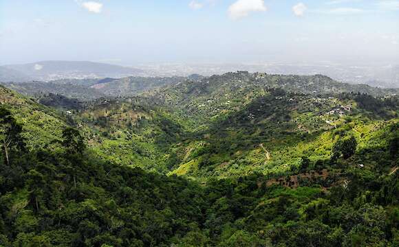 Blue Mountain Bike Tour Montego Bay