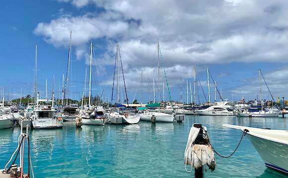 Honolulu Shoreline Bike Tour with Food Tastings