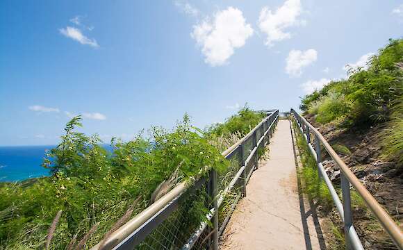 Diamond Head Hike & Bike Tour Honolulu